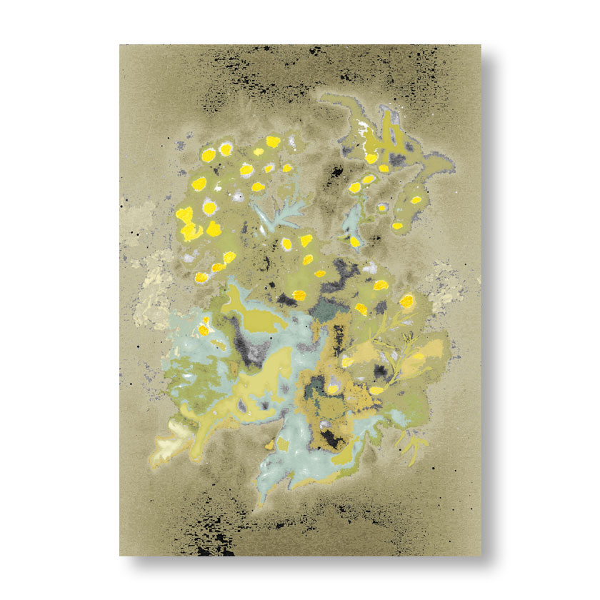 Tanacetum,-botanische-fotogram,-print-op-aluminium,-64x90cm,-2015